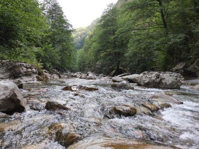 moraca-manastir-mrtvica-jun-kajaksport13